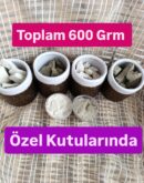 Mini Deneme Seti, 600 Grm